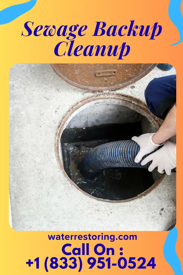 Sewage Backup Cleanup in Meriden, CT