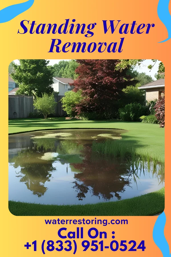 Standing Water Removal in Meriden, CT